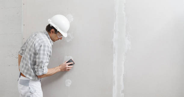 Best Mold Odor Removal Services  in North Sea, NY