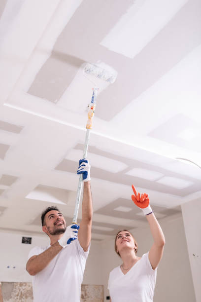 Best Water Damage & Mold Remediation  in North Sea, NY