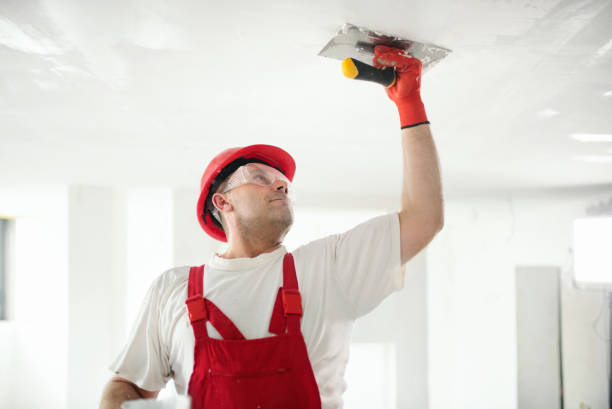 Best Black Mold Removal  in North Sea, NY