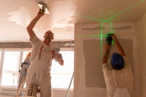 Forensic Mold Investigation in North Sea, NY